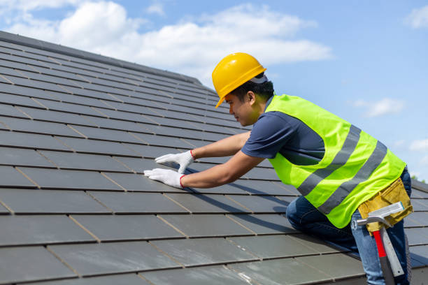 Best Roof Maintenance Services  in Basye, VA