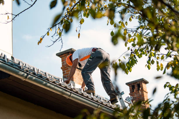Best New Roof Installation  in Basye, VA
