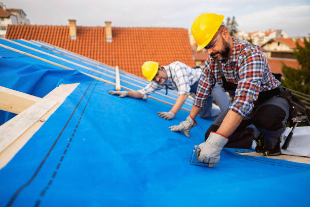 Best Roof Repair Services  in Basye, VA