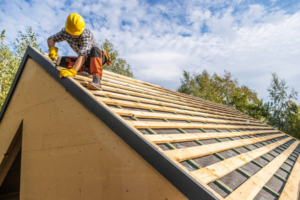 Best Metal Roofing Contractor  in Basye, VA